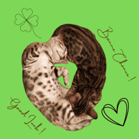 Best Of Luck GIF by Kitty Fuchs