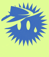 STEIBISONNE sommer sonne winterthur visor GIF