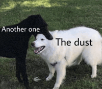 Another One Bites The Dust Win GIF