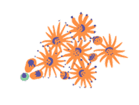 Flower Earth Sticker by Munchkin