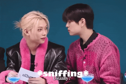 Felix Sniffing GIF