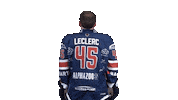 Hockey Sticker by Fehervar AV19