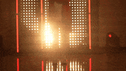 Utah Utes Softball GIF by NCAA Championships
