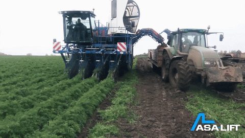 ASA-LIFT giphyupload vegetables harvest onion GIF