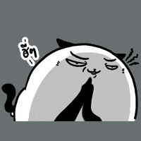 Cat Smirk GIF