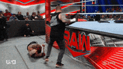 Wwe Wrestling GIF by USA Network