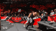 Wwe Wrestling GIF by USA Network
