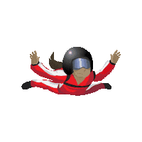 iFLYVaBeach  Sticker