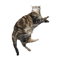 lazy STICKER by imoji