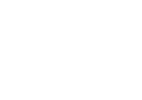 ws vaisafadao Sticker by Wesley Safadão