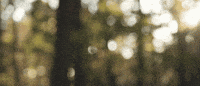 momentsofcolour photography creative photo camera GIF