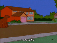 season 7 house GIF