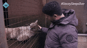 Lion King Monkey GIF