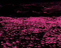 Ocean Waves Bird GIF by Barbara Pozzi