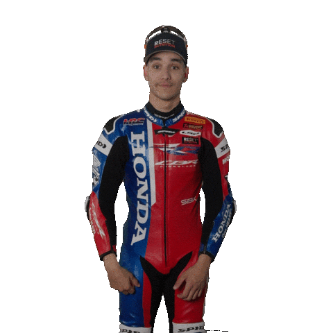 Happy Honda Sticker by WorldSBK