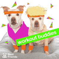 Save Them All Best Friends GIF by Best Friends Animal Society