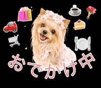 Going Out Dog GIF