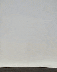Dance Celebration GIF by Austin Peay Athletics