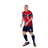 World Cup Football Sticker by Panini America