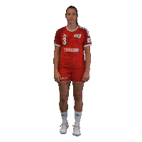 Schweiz Sticker by Swiss Handball