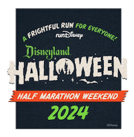 Rundisney Sticker by Disney Sports