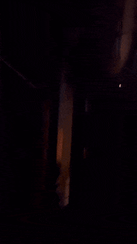 Fast And Furious Twitch GIF