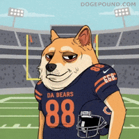 Chicago Bears Football GIF by Doge Pound