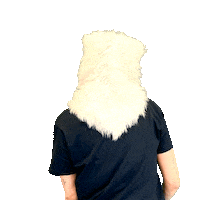 Wolf Hello Sticker by Wayra