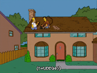 homer simpson ray magini GIF