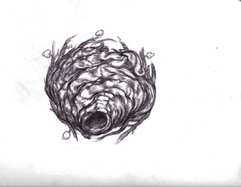 moving real-time GIF by Alex Boya