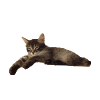 lazy STICKER by imoji