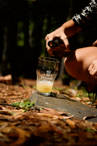 Prussiabier cerveja prussia prussiabier GIF