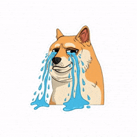 Sad Cry Me A River GIF by Doge Pound