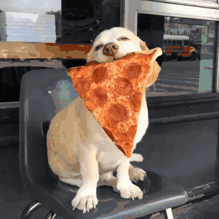 GIF by Demic
