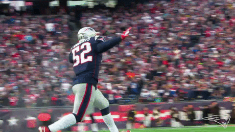 Excited Elandon Roberts GIF by New England Patriots