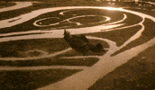 Flying Cynthia Erivo GIF by Wicked
