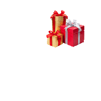 Christmas Celebration Sticker by Neovital Nutrition