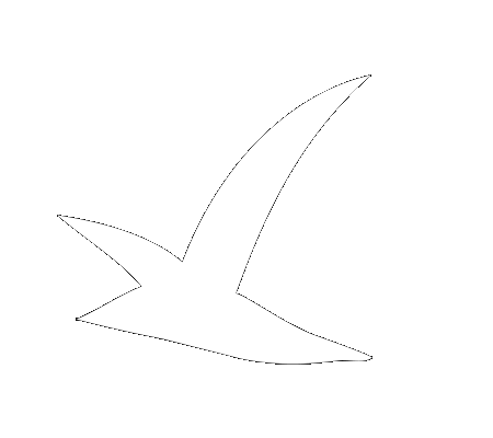 Mouette Sticker by Saint Benoît