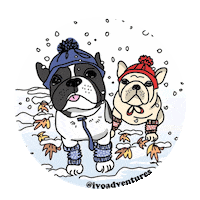 fun friends Sticker by Ivo Adventures