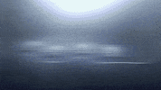 wicked tuna lobster trap GIF by National Geographic Channel