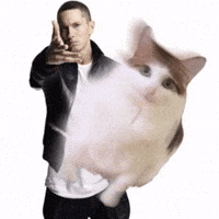 Eminem Uncle GIF
