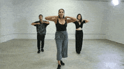 STEEZY_Studio  GIF