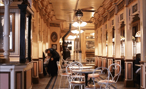 disneyland GIF