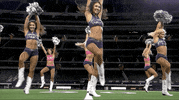 dccmakingtheteam dance football dancing nfl GIF
