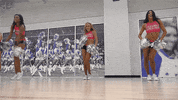 dallas cowboys nfl GIF by Dallas Cowboys Cheerleaders: Making the Team
