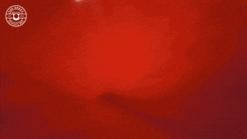 Fashion Designer GIF by The Great British Sewing Bee