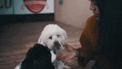 On The Way Drinking GIF by JON ROBERT HALL