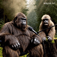 Mood Feels GIF by Darwin