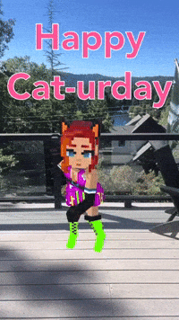 Cat Dancing GIF by Flickplay