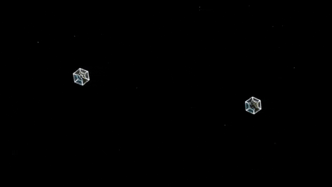 alegalazb giphygifmaker GIF